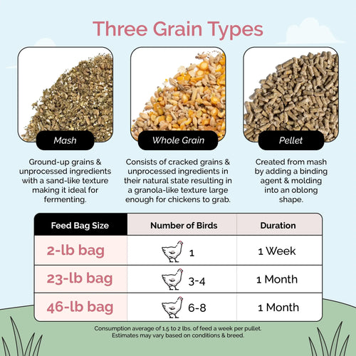 Grower Feed Kit | 12 Weeks of Organic Feed & Grit for 10 Pullets