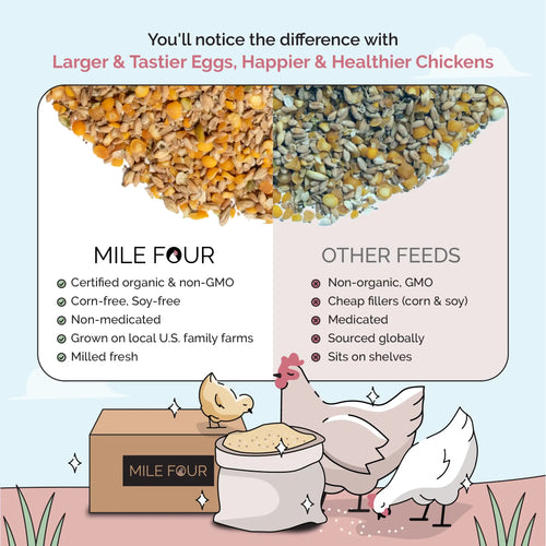Big Flock Bundle | 2 Months of Organic Feed, Grit & Oyster Shell for 20 Layer Hens