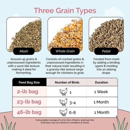 Layer Feed Kit | 1 Month of Organic Feed, Grit & Oyster Shell for 10 Layers