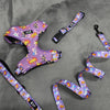 Silicone Dog Harness, Collar & Leash Set