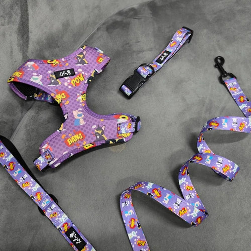 Silicone Dog Harness, Collar & Leash Set