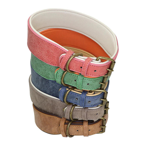 The Wide Luxe Collar - Padded Leather for Large Dogs