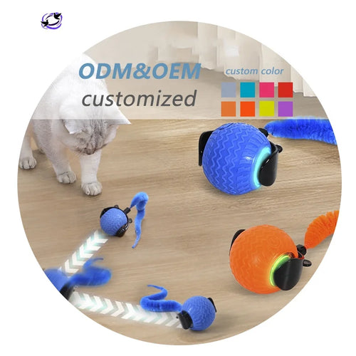 SR Interactive Rolling Smart Cat Ball Toy with Tail Accessory