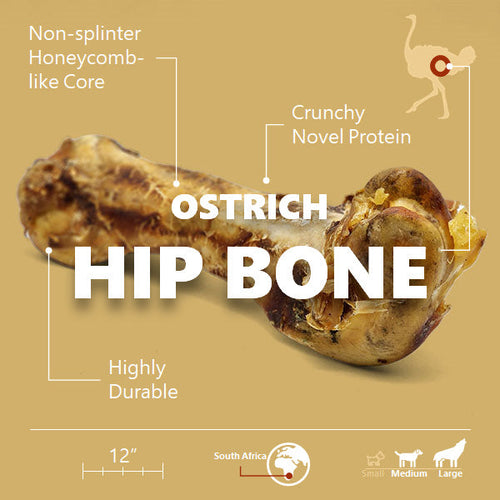 Ostrich Hip Bone (12 x 5x 3”): The Durable, Flavor-Packed Chew for Medium & Large Dogs