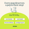 Hip & Joint Health