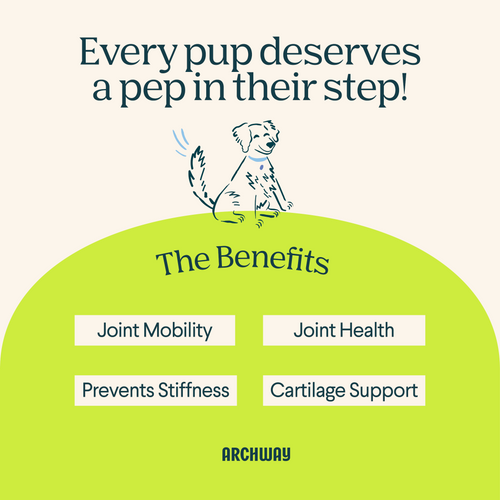 Hip & Joint Health