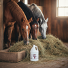 AniMed Cod Liver Oil Blend 1 Gallon Horse Animals Nutritional Supplement