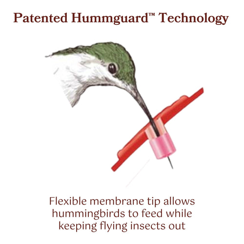 Hummguard® Hummingbird Feeder Bundle, 8 oz Feeder + 12 Nectar Tips