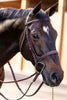 Huntley Equestrian Fancy Stitched Schooling Hunter Bridle with Reins
