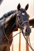 Huntley Equestrian Fancy Stitched Schooling Hunter Bridle with Reins