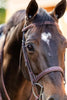 Huntley Equestrian Fancy Stitched Schooling Hunter Bridle with Reins