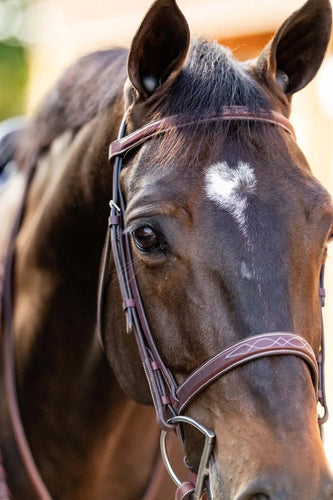 Huntley Equestrian Fancy Stitched Schooling Hunter Bridle with Reins
