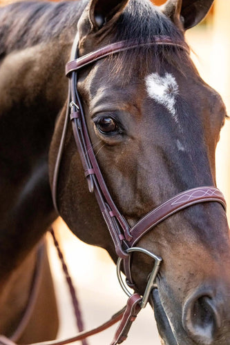 Huntley Equestrian Fancy Stitched Schooling Hunter Bridle with Reins