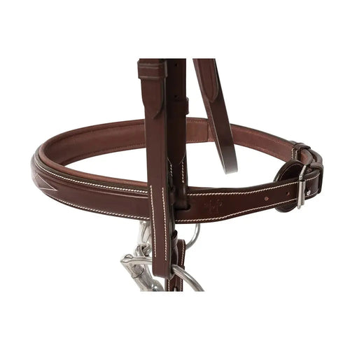 Huntley Equestrian Fancy Stitched Sedgwick Leather Padded Bridle with Reins