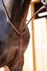 Huntley Equestrian Schooling Standing Martingale, Italian Leather