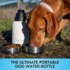 **SALE** HydroPet® 32 oz Portable Dog Water Bottle – Stainless Steel Travel Flask with 2 Detachable Bowls, Carry Bag & Strap
