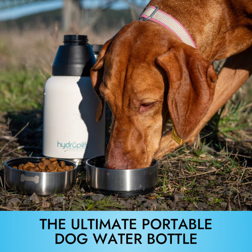 **SALE** HydroPet® 32 oz Portable Dog Water Bottle – Stainless Steel Travel Flask with 2 Detachable Bowls, Carry Bag & Strap