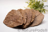 Catappa Indian Almond Leaves - 25 mixed-sized leaves