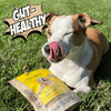 Allergy-Friendly Dog Treats, 6-Pack