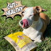 Crunchy Dog Biscuit Variety Bundle, 4-Pack