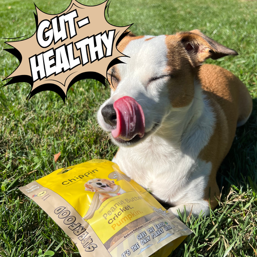 Crunchy Dog Biscuit Variety Bundle, 4-Pack