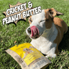 Superfood Cricket & Pumpkin Dog Treats, 4-Pack