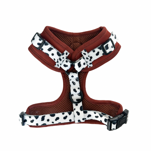 Spotted Ember Adjustable Harness