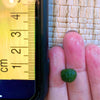 1PCS Marimo Moss Balls For Aquarium Multiple Size - Sample Minimum Kokedama Japanese Algae Ball Wholesale
