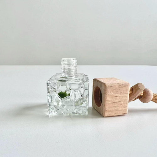 Mini Baby Marimo Moss Ball