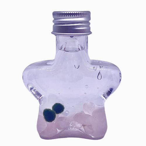 Marimo moss ball kit natural crystal 2PCS gift - Wish Star