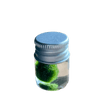 Chubby Marimo Moss Ball Kit Mini Moss Ball Kit