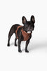 Harness