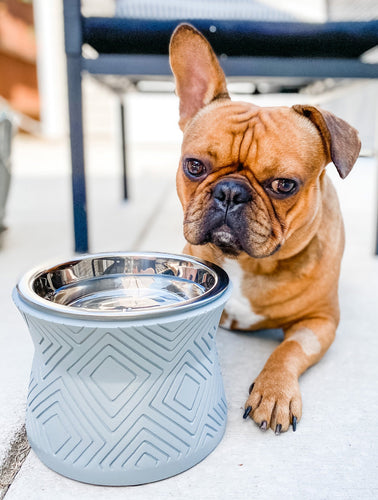 Santa Fe Modern Elevated Dog Bowl