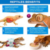 Gargeer 'Picky Geck' Caledonian Breeze - Premium Crested Gecko Food | Digestion & Eye Support