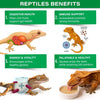 Gargeer 'Picky Geck' Rainforest Mist - Premium Crested Gecko Food | Immune & Digestion Support