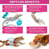Gargeer 'Picky Geck' Growth - Premium Crested Gecko Food | High-Protein Formula for Bone & Muscle Support