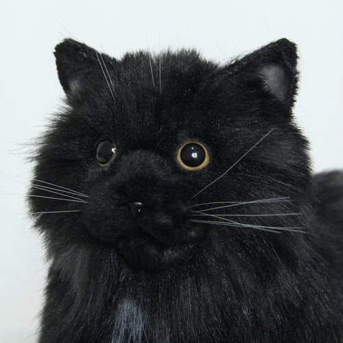 Fully Black Cat MADE-TO-ORDER