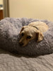 Mr. Peanut's 28 OrthoPlush® Pet Bed - Snowflake White Two Tone