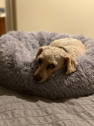 Mr. Peanut's 28 OrthoPlush® Pet Bed - Snowflake White Two Tone