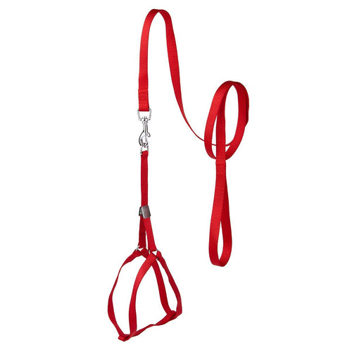 Step-In Nylon Dog Harness + Optional Flower Dog Leash