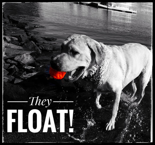 WUNDERBALL - Best Fetch Toy
