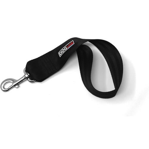Dog Vehicle Restraint