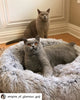 Mr. Peanut's 28 OrthoPlush® Pet Bed - Snowflake White Two Tone