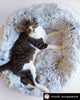 Mr. Peanut's 28 OrthoPlush® Pet Bed - Snowflake White Two Tone