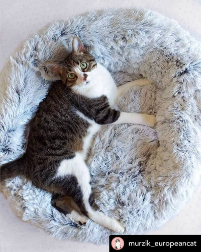 Mr. Peanut's 28 OrthoPlush® Pet Bed - Snowflake White Two Tone