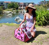 Mr. Peanut's Gold Series Standard Size Airline Compliant Pet Carrier