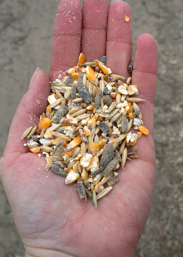 16% Premium Layer Feed With Black Soldier Fly Larvae, Fishmeal, & Herbs {Soy Free + High Protein}
