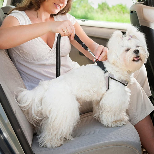 Milou & Lumi Adjustable Pet Car Seat Belt