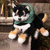 Black Shiba Inu Dog