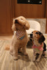 Gingerbread Man Joy Handmade Bandana